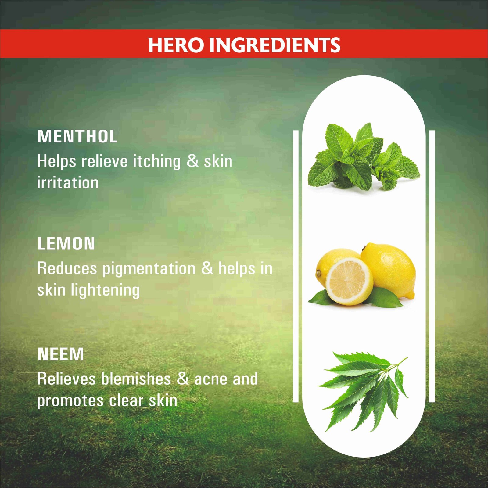 Natural Mentha, Vitamin E & Anti-Oxidant Rich Face Wash for Balanced Skin Ph, Deep Cleansing & Dirt Removal