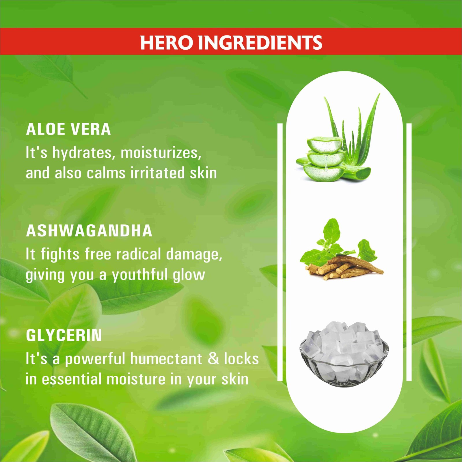 Skin Science Hydrating Aloe Vera Face Wash All Skin Types Gentle, Clear Skin